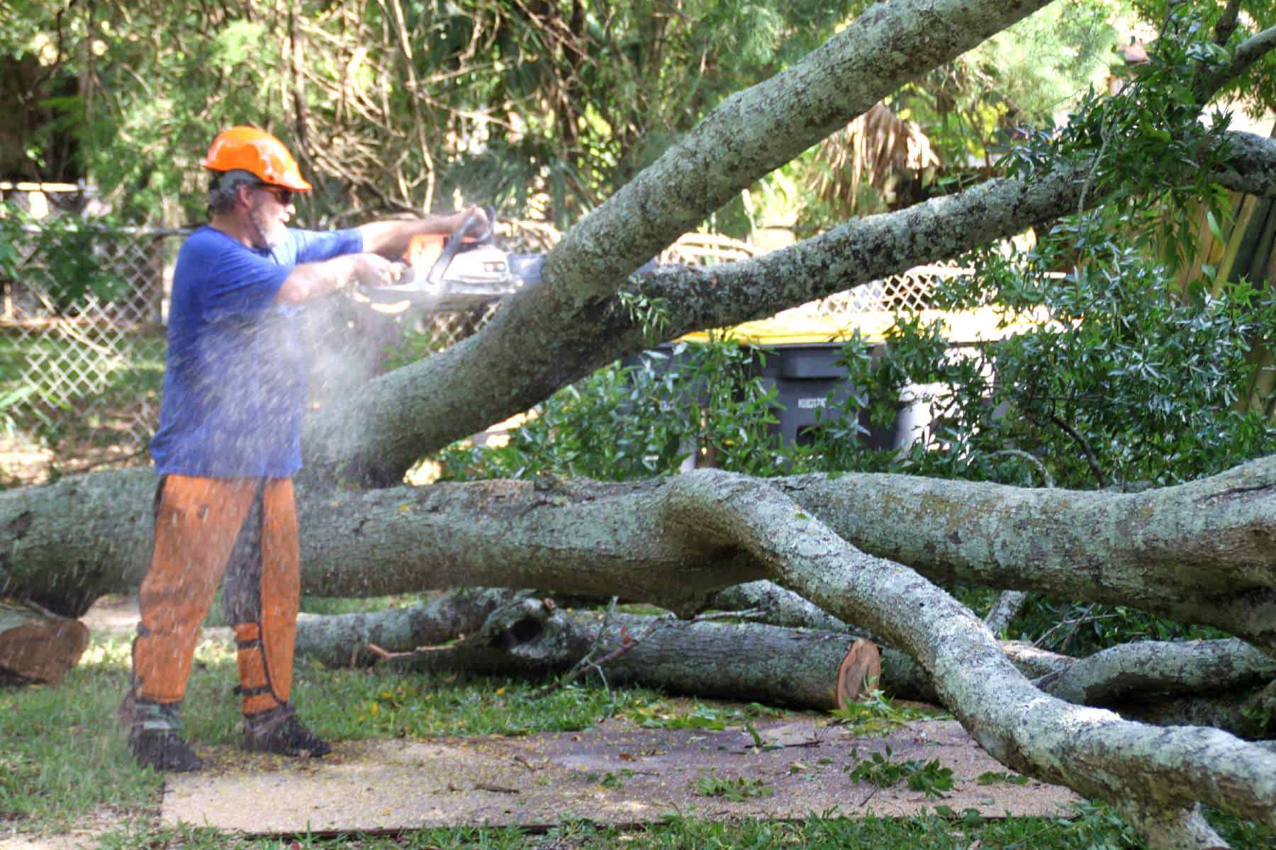 Genesis Tree Care Gallery Jacksonville, FL Call Us (904) 8780950